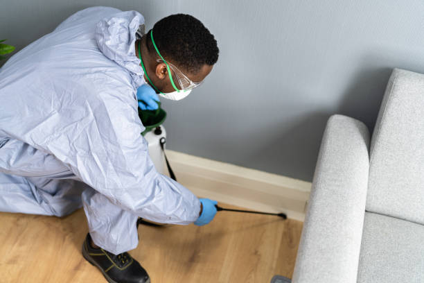 Best Termite Inspection and Treatment  in Jamesburg, NJ